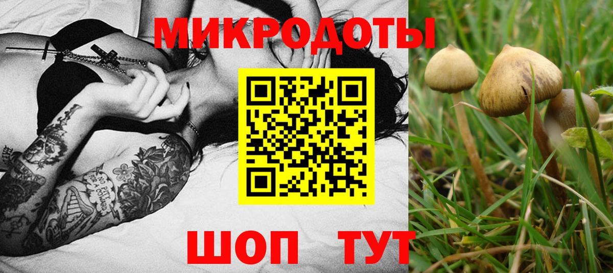 Галлюциногенные грибы Magic Shrooms  Вход с VPN  Зеленокумск 