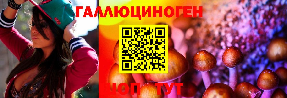 Галлюциногенные грибы Cubensis Зеленокумск